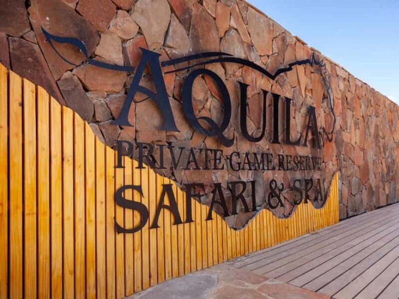 Cape Town: Aquila Big Five Safari with Transfers - Key Points
