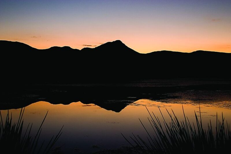 Cape Town: Aquila Game Reserve Day Entrance & Game Drive - Key Points