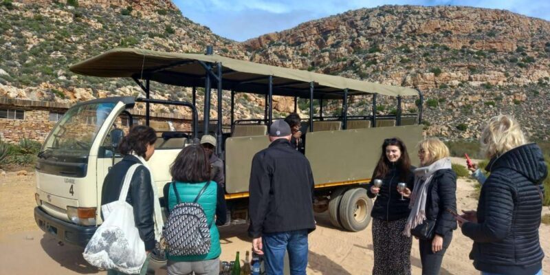 Cape Town: Aquila Game Reserve Sunset Game Drive - The Wildlife Experience: What Youll See