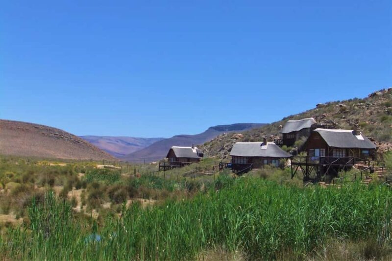 Cape Town: Aquila Reserve safari with lunch & wine tasting - Key Points