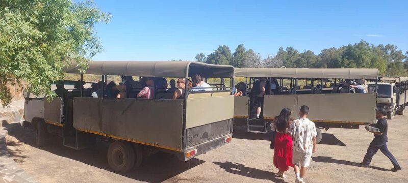 Cape Town - Aquila Safari - An Authentic and Comfortable Safari Experience
