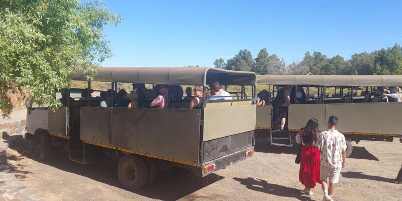 Cape Town - Aquila Safari - The Sum Up