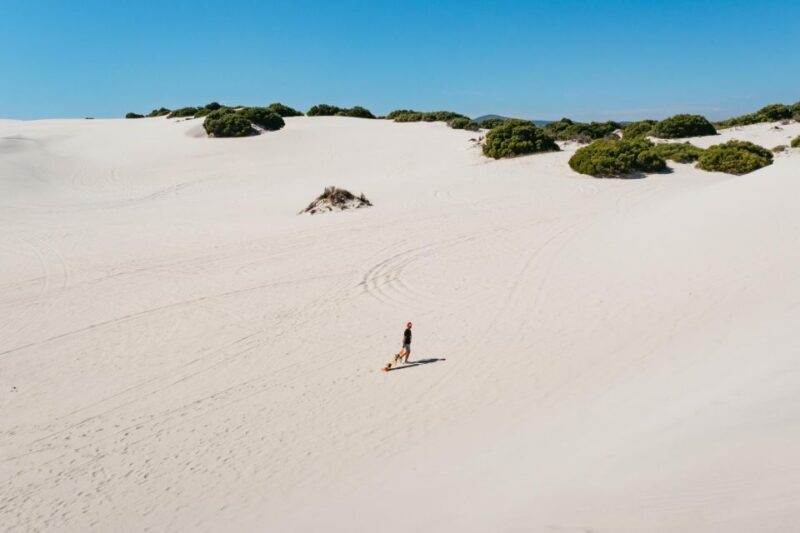 Cape Town: Atlantis White Sand Dunes Sandboarding Adventure - Authentic Experiences and Review Insights