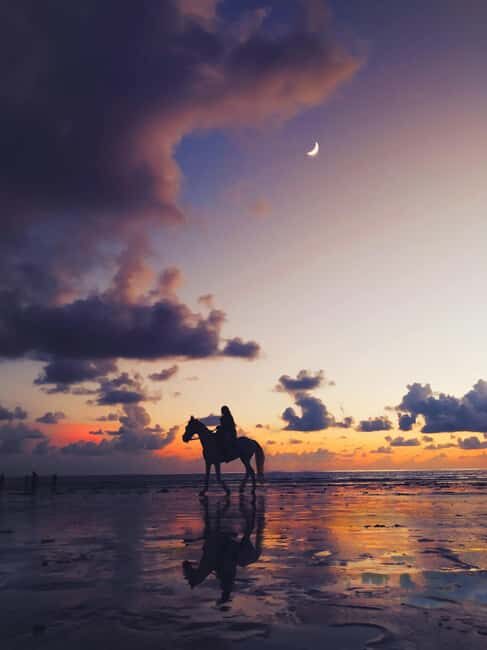 Cape Town: Beach Horse Ride + Wine Tour + Lunch + Pick-Up - Introduction