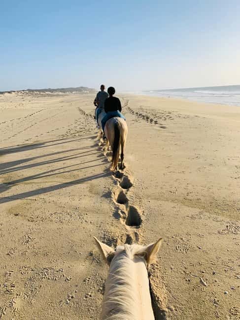 Cape Town: Beach Horse Ride + Wine Tour + Lunch + Pick-Up - What Travelers Can Expect