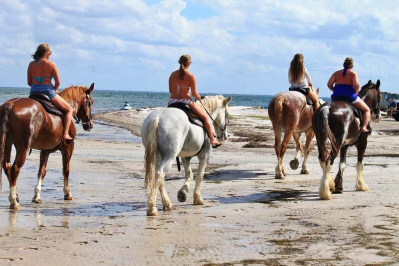Cape Town: Beach Horse Ride with Hotel Pickup & Drop-off - Key Points