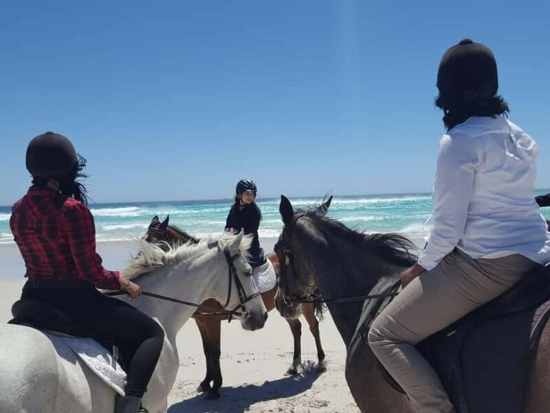 Cape Town: Beach Horse Ride with Hotel Pickup & Drop-off - What to Expect from Your Cape Town Beach Horse Ride