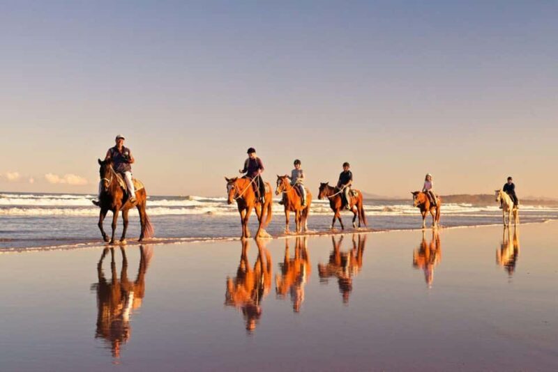 Cape Town: Beach Horse Ride with Hotel Pickup & Drop-off - Who Will Love This Tour?