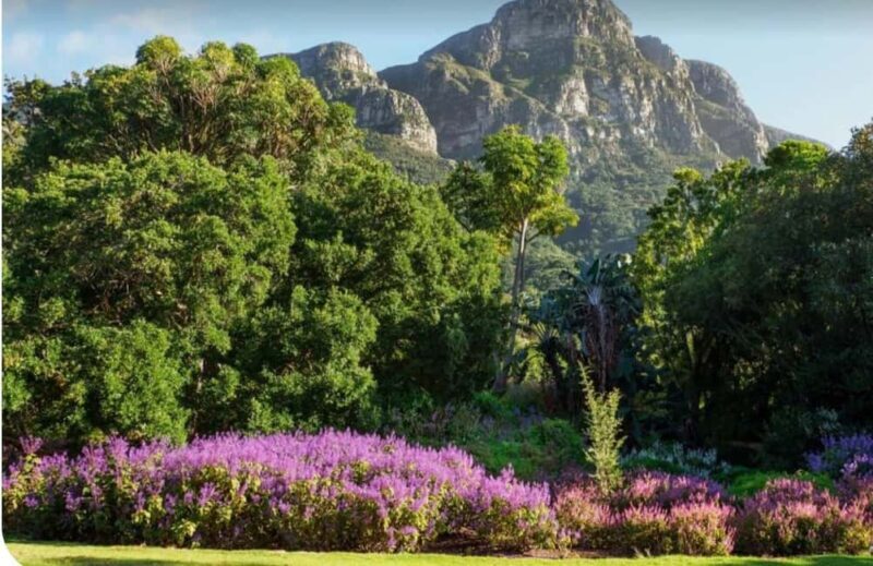 Cape Town: Bo-Kaap, Table Mountain, and Groot Constantia - Wine Tasting at Groot Constantia
