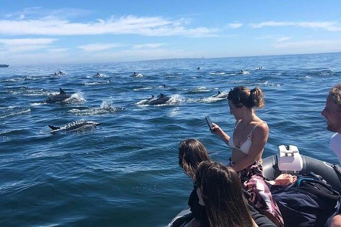 Cape Town Boat Trip - Introduction: What This Cape Town Boat Trip Offers