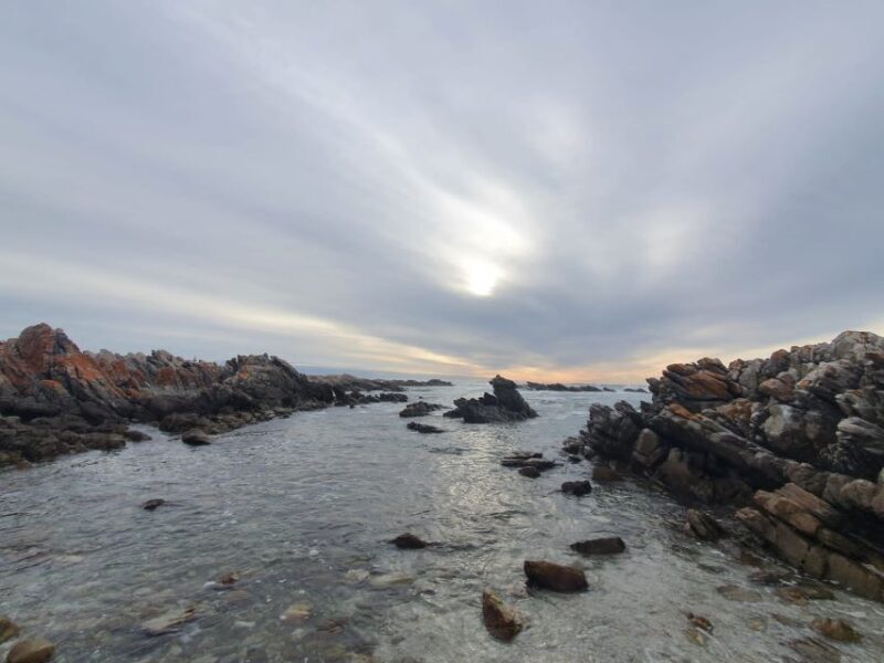 Cape Town: Cape Aghullas Van Tour with Hotel Pickup - Practical Aspects