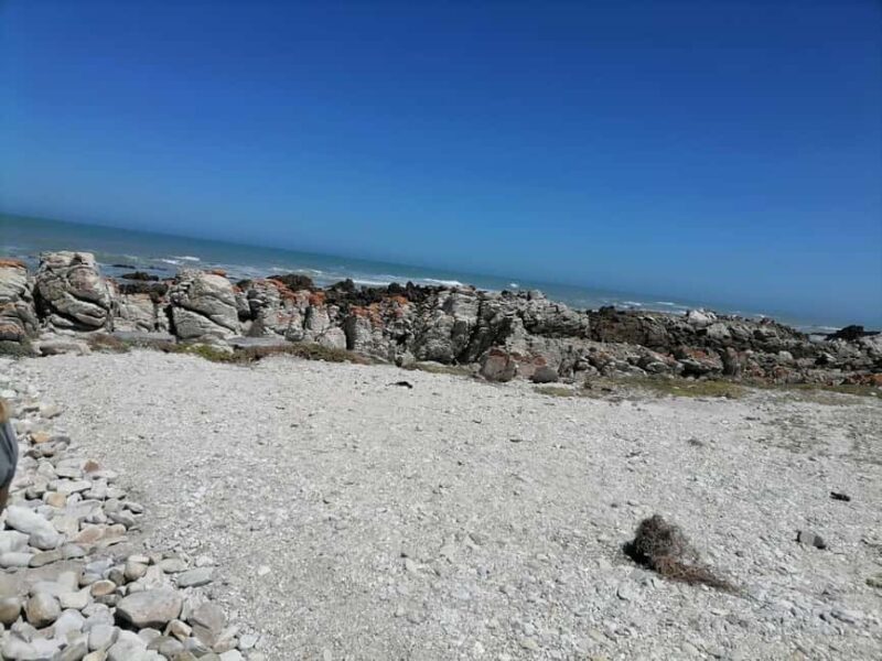 Cape Town: Cape Agulhas Day Trip - Who Will Love This Trip?