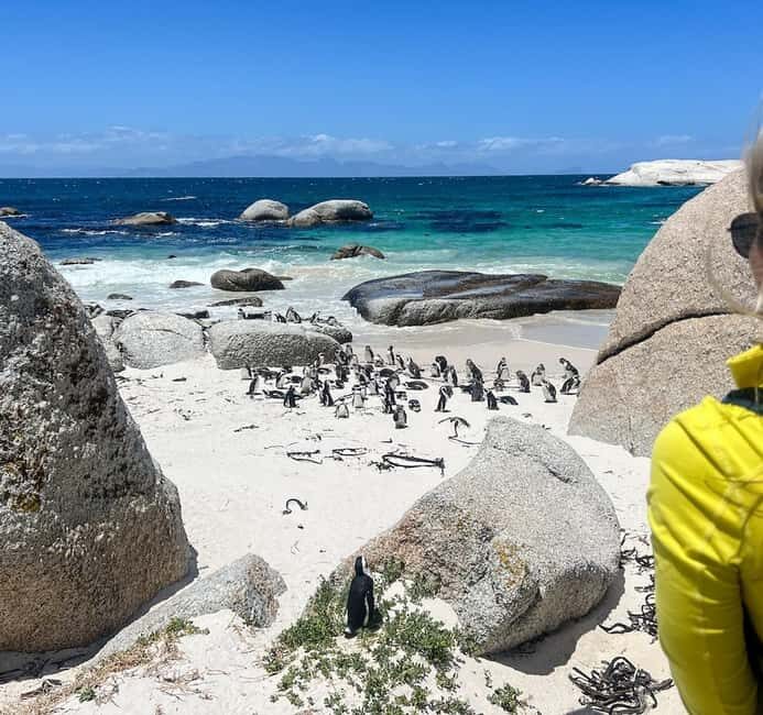 Cape Town: Cape of Good Hope and Boulders Beach Private Tour - The Value of the Guided Experience