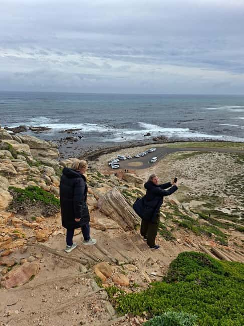 Cape Town: CAPE OF GOOD HOPE AND PENGUINS PRIVATE FULL DAY. - A Deep Dive into the Experience