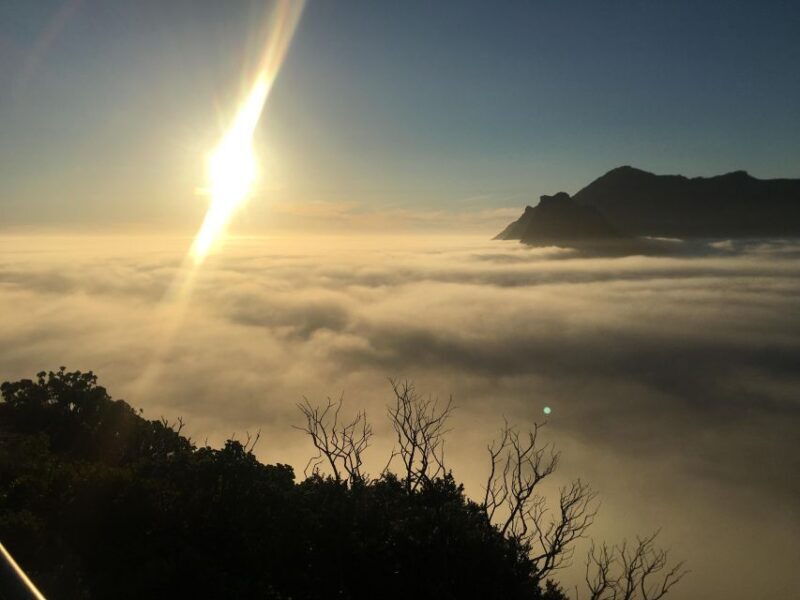 Cape Town: Cape of Good Hope & Penguins Full-Day Guided Tour - A Deep Dive into the Itinerary and Experience