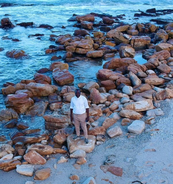 Cape Town: Cape of Good Hope & Penguins Full-Day Guided Tour - Practical Details and Tips