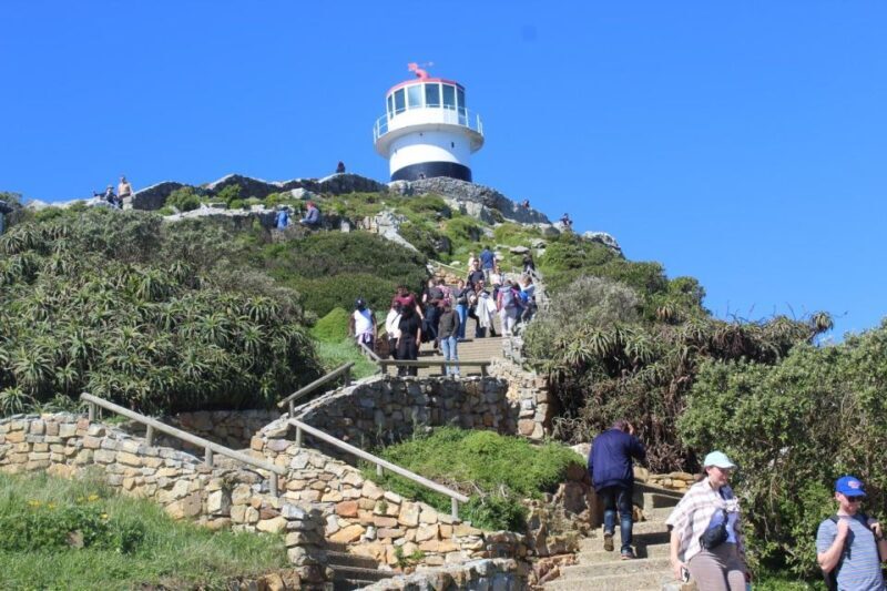 Cape Town: Cape of Good Hope & Penguins Private Scenic Tour - An Honest Look at the Cape of Good Hope & Penguins Private Scenic Tour