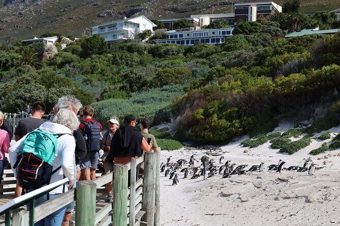 Cape Town: Cape of Good Hope, Table Mountain & Wine Tasting Tour - Who Will Love This Tour?