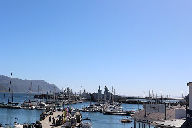 Cape Town: Cape of Good Hope Tour, Penguin Beach & Table Mountain - The True Value of This Tour