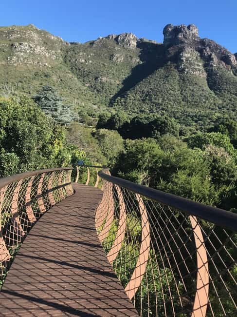 Cape Town: Cape Peninsula and Penguins Full-Day Tour - Key Points