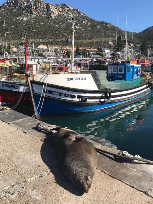 Cape Town: Cape Peninsula and Penguins Full-Day Tour - Frequently Asked Questions