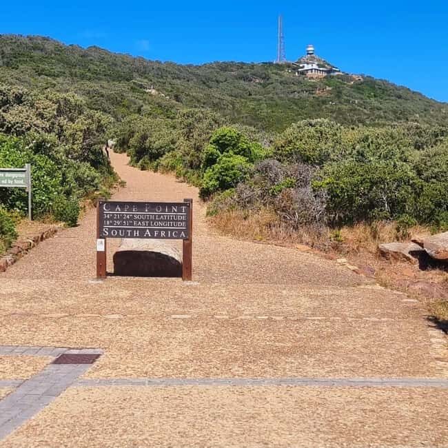 Cape Town: Cape Peninsula and Wine Route Tour - Who This Tour Is Perfect For