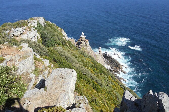 Cape Town: Cape Peninsula Half Day Private Tour - Practicalities & Value