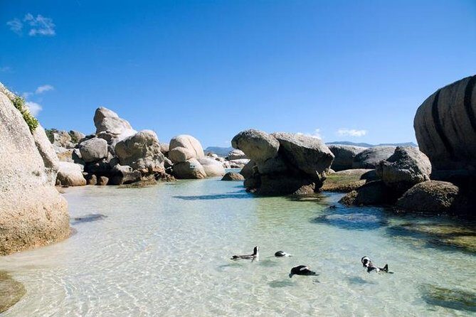 Cape Town: Cape Peninsula Half Day Private Tour - Who Should Consider This Tour?