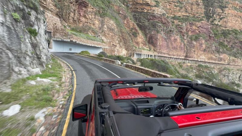 Cape Town: Cape Peninsula Jeep Safari Adventure - Who Will Love This Tour?