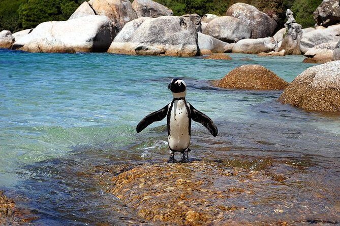 Cape Town: Cape Peninsula Private Tour Full Day - FAQs