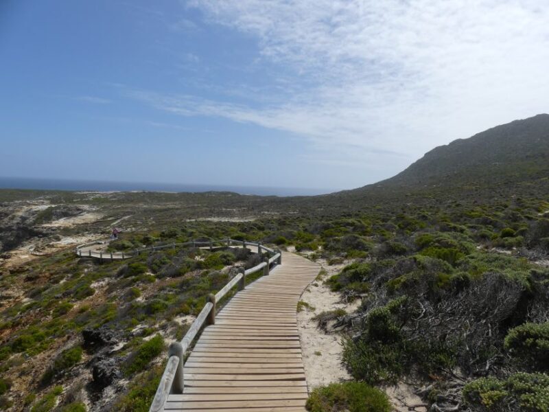 Cape Town: Cape Point and Penguin Colony Full Day Tour - The Itinerary Breakdown: What You’ll Experience