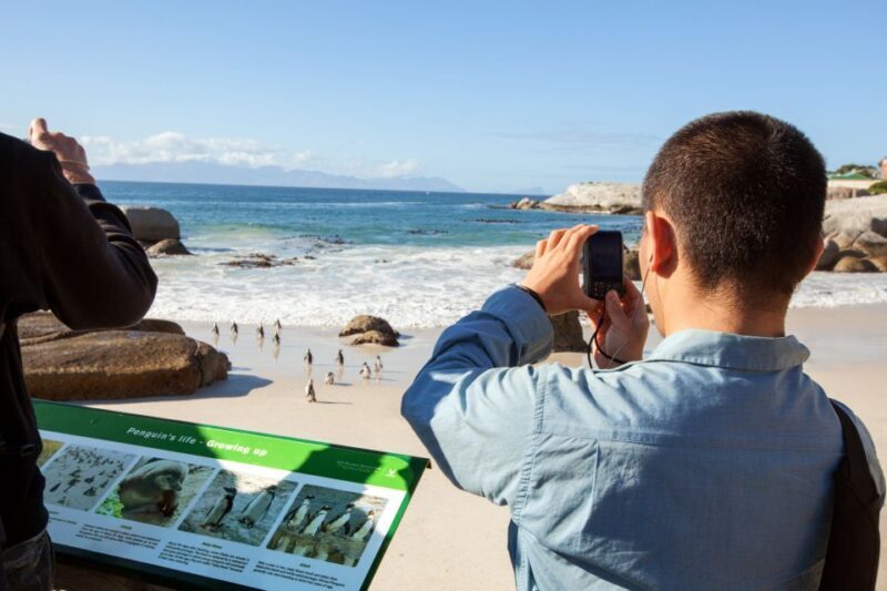 Cape Town: Cape Point and Penguin Colony Full Day Tour - Final Thoughts