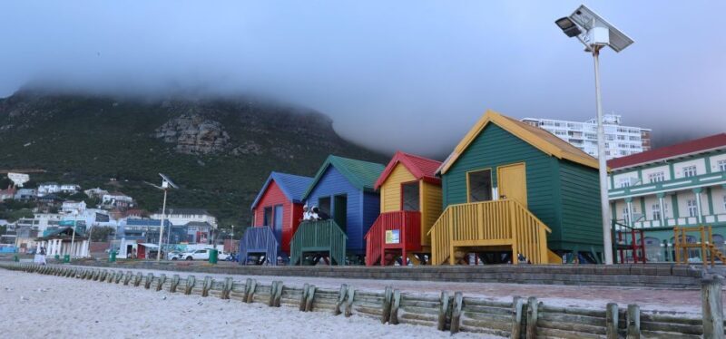 Cape Town: Cape Point & Boulders Beach Day Tour - Who is This Tour Best For?