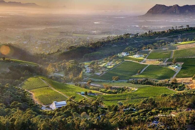 Cape Town: Cape Point, Constantia Wine Tour Private Transfer - Experience Overview