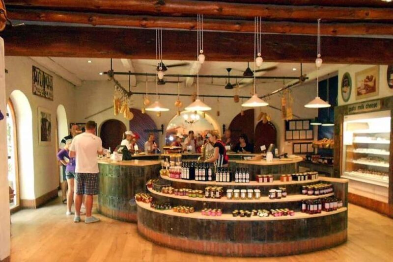 Cape Town: Cape Winelands Explore Day Tour Private Transfer - Key Points
