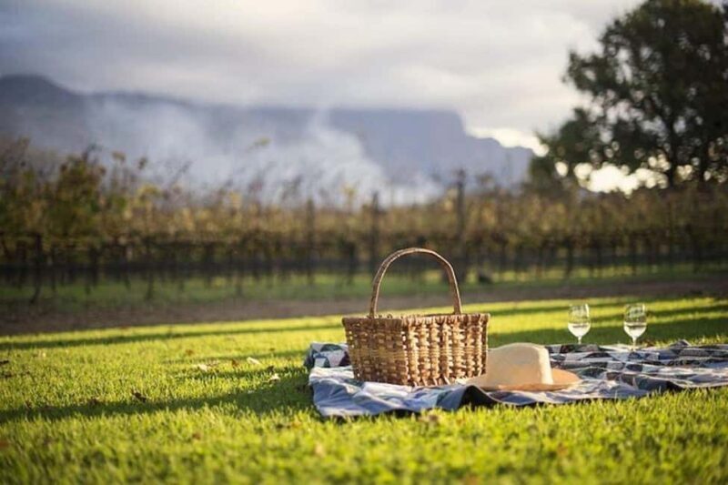 Cape Town: Cape Winelands Explore Day Tour Private Transfer - An In-Depth Look at the Cape Winelands Tour