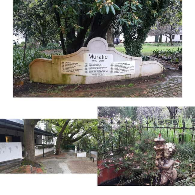 Cape Town: Cape Winelands Private Tour with Wine Tasting - FAQ