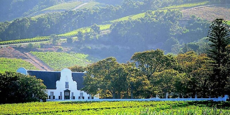 Cape Town: Cheetah Outreach and Winelands Day Tour - Introduction: A Day of Wildlife and Wine
