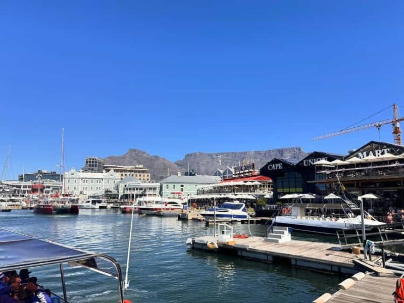 Cape Town City Highlights Tour:Robben Island, Table Mountain - Table Mountain: Nature’s Crown Jewel  