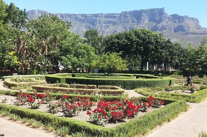 Cape Town City Tour Camps Bay Beach Plus Table Mountain Ticket - Who Should Consider This Tour?