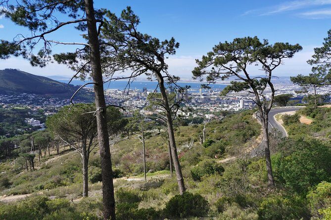Cape Town City Tour including Lion's head with Wi-Fi on board. - Frequently Asked Questions