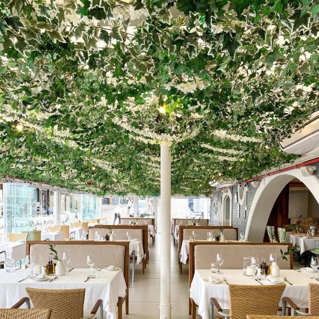 Cape Town: Coastal Cruise & 14-piece Sushi Meal - Key Points
