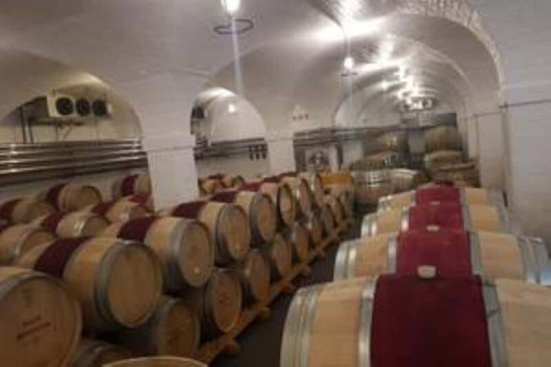 Cape Town: Constantia Prestige Private Wine Tour - Key Points