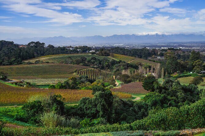 Cape Town: Constantia Wine Route Tour - FAQ