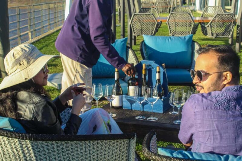 Cape Town: Constantia Wine Tour, Tastings & Scenic Transfers - Discovering Constantia: A Scenic and Tasty Journey