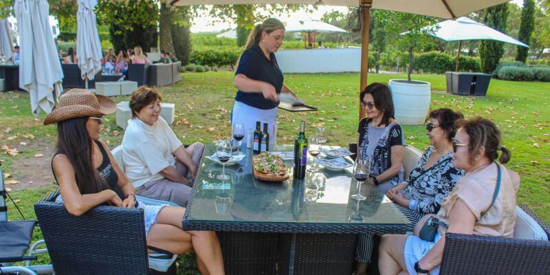 Cape Town: Constantia Wine Tour, Tastings & Scenic Transfers - Who Would Enjoy This Tour?
