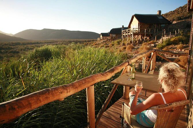 Cape Town Day Safari - FAQs