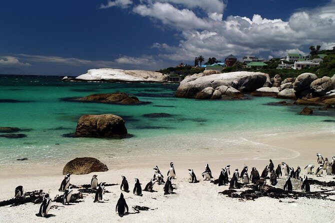 Cape Town Day Tours - A Closer Look at the Itinerary