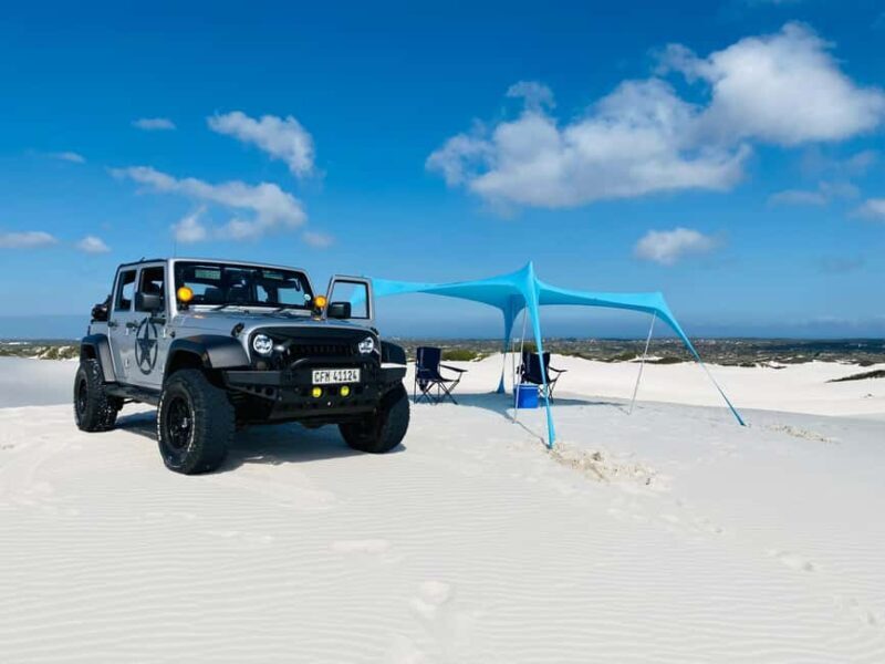 Cape Town Desert Thrills: Dune Jeep Venture - Practical Tips for Your Dune Adventure