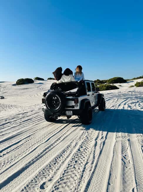 Cape Town Dessert Thrill: Jeep Dune Venture - Who Should Consider This Tour?  